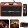 Audizio DAB FM BT Tune60 brązowe one size