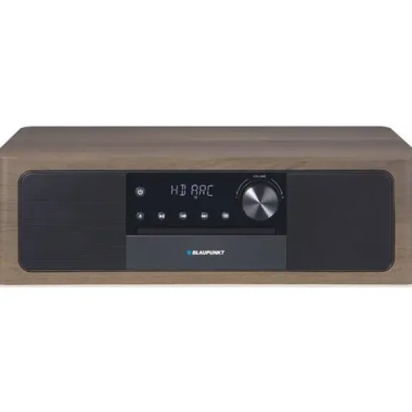 BLAUPUNKT MS22BT