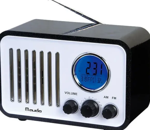 M-Audio LM-22B
