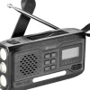 Sandberg 421-17 radio Analogowe i cyfrowe Czarny