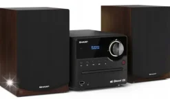 Sharp XL-B517D 15W CD USB FM DAB+ Bluetooth Czarno-Brązowy