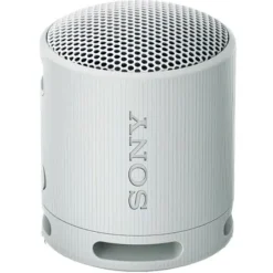 Sony SRS-XB100 Szary